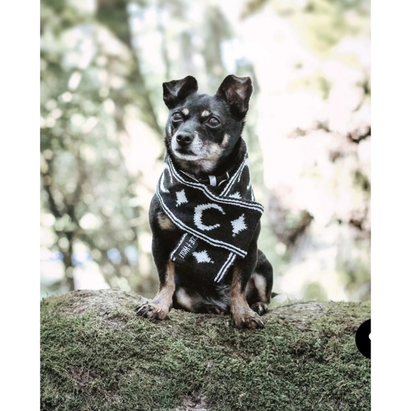 Rogue + Wolf ✦ “Moon Pupper” Knit Pet Scarf ✦ Black Vegan Yarn Celestial Print - Picture 8 of 16